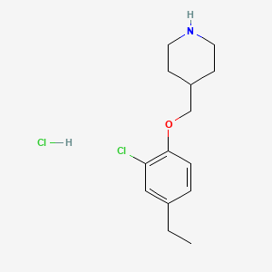 molecular formula C14H21Cl2NO B1456182 4-[(2-Chloro-4-ethylphenoxy)methyl]piperidine hydrochloride CAS No. 1220032-84-7