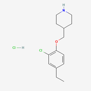 4-[(2-Chloro-4-ethylphenoxy)methyl]piperidine hydrochloride