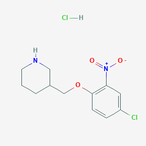 3-[(4-Chloro-2-nitrophenoxy)methyl]piperidine hydrochloride