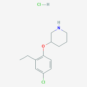 molecular formula C13H19Cl2NO B1456190 3-(4-Chloro-2-ethylphenoxy)piperidine hydrochloride CAS No. 1220018-98-3