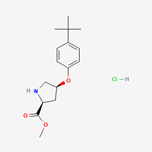 molecular formula C16H24ClNO3 B1456193 Methyl (2S,4S)-4-[4-(tert-butyl)phenoxy]-2-pyrrolidinecarboxylate hydrochloride CAS No. 1354488-24-6