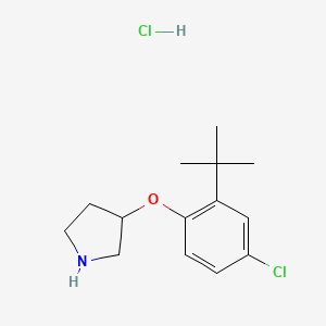 molecular formula C14H21Cl2NO B1456201 3-[2-(tert-Butyl)-4-chlorophenoxy]pyrrolidine hydrochloride CAS No. 1146960-57-7