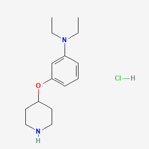 molecular formula C15H25ClN2O B1456220 N,N-Diethyl-3-(4-piperidinyloxy)aniline hydrochloride CAS No. 1220028-17-0