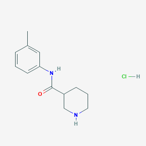 molecular formula C13H19ClN2O B1456230 N-(3-Methylphenyl)-3-piperidinecarboxamide hydrochloride CAS No. 1220020-06-3