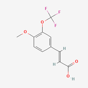 molecular formula C11H9F3O4 B1456260 4-Methoxy-3-(trifluoromethoxy)cinnamic acid CAS No. 1262018-46-1