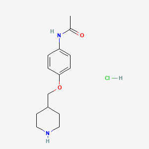 molecular formula C14H21ClN2O2 B1456310 N-[4-(4-哌啶基甲氧基)苯基]乙酰胺盐酸盐 CAS No. 1220033-86-2