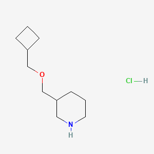 Cyclobutylmethyl 3-piperidinylmethyl ether hydrochloride