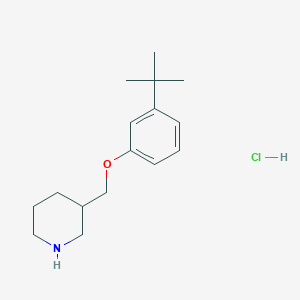 3-(tert-Butyl)phenyl 3-piperidinylmethyl ether hydrochloride