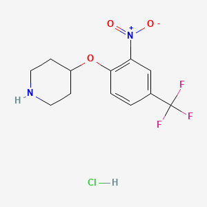 molecular formula C12H14ClF3N2O3 B1456338 4-[2-Nitro-4-(trifluoromethyl)phenoxy]piperidine hydrochloride CAS No. 1220016-41-0