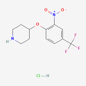 4-[2-Nitro-4-(trifluoromethyl)phenoxy]piperidine hydrochloride