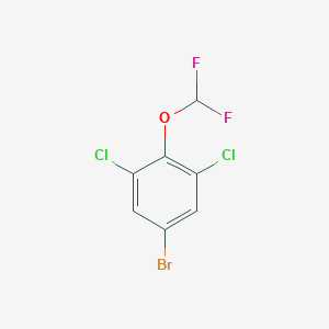 molecular formula C7H3BrCl2F2O B1456361 5-Bromo-1,3-dichloro-2-(difluoromethoxy)benzene CAS No. 929621-36-3