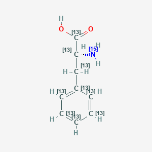 L-Phenylalanine-13C9,15N