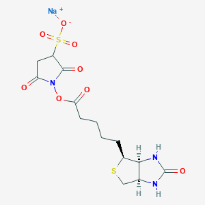 Biotin 3-sulfo-N-hydroxysuccinimide ester sodium salt