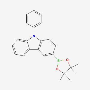 molecular formula C24H24BNO2 B1456720 9-Phenyl-3-(4,4,5,5-tetramethyl-1,3,2-dioxaborolan-2-yl)-9H-carbazole CAS No. 1126522-69-7