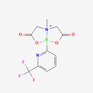 molecular formula C11H10BF3N2O4 B1456732 5-methyl-1-[6-(trifluoromethyl)pyridin-2-yl]-2,8-dioxa-5-azonia-1-boranuidabicyclo[3.3.0]octane-3,7-dione CAS No. 1227700-46-0
