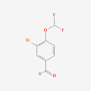molecular formula C8H5BrF2O2 B1456948 3-溴-4-(二氟甲氧基)苯甲醛 CAS No. 1155878-02-6