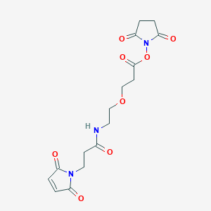 molecular formula C16H19N3O8 B1457178 2,5-dioxopyrrolidin-1-yl 3-(2-(3-(2,5-dioxo-2,5-dihydro-1H-pyrrol-1-yl)propanamido)ethoxy)propanoate CAS No. 1260092-50-9