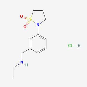 molecular formula C12H19ClN2O2S B1457370 2-{3-[(Ethylamino)methyl]phenyl}-1,2-thiazolidine-1,1-dione hydrochloride CAS No. 1803593-14-7