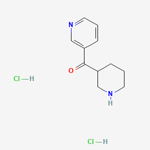 molecular formula C11H16Cl2N2O B1457837 3-Piperidinyl(3-pyridinyl)methanone dihydrochloride CAS No. 1301738-69-1