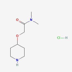 molecular formula C9H19ClN2O2 B1457865 N,N-dimethyl-2-(piperidin-4-yloxy)acetamide hydrochloride CAS No. 1384430-00-5