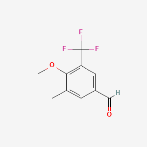 molecular formula C10H9F3O2 B1457889 4-Methoxy-3-methyl-5-(trifluoromethyl)benzaldehyde CAS No. 1431329-77-9