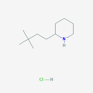 molecular formula C11H24ClN B1457952 2-(3,3-Dimethylbutyl)piperidine hydrochloride CAS No. 1864064-88-9
