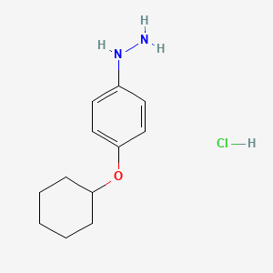 molecular formula C12H19ClN2O B1457997 (4-Cyclohexyloxy-phenyl)-hydrazine hydrochloride CAS No. 350683-68-0