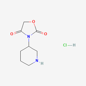 molecular formula C8H13ClN2O3 B1458034 3-(Piperidin-3-yl)oxazolidine-2,4-dione hydrochloride CAS No. 1823248-37-8