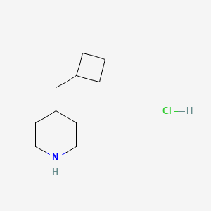 molecular formula C10H20ClN B1458043 4-(环丁基甲基)哌啶盐酸盐 CAS No. 1803571-12-1