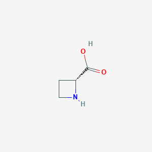 molecular formula C4H7NO2 B014582 (R)-azetidine-2-carboxylic acid CAS No. 7729-30-8