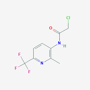 molecular formula C9H8ClF3N2O B1458248 2-Chloro-N-[2-methyl-6-(trifluoromethyl)pyridin-3-yl]acetamide CAS No. 1308649-80-0