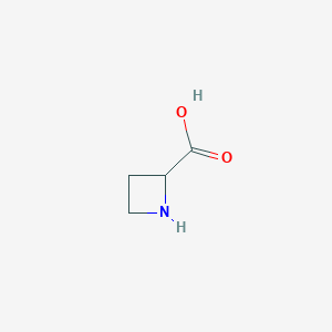 molecular formula C4H7NO2 B014583 Azetidine-2-carboxylic acid CAS No. 2517-04-6