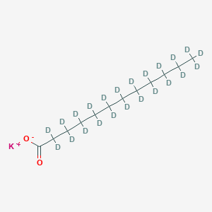 molecular formula C12H23KO2 B1458372 Potassium dodecanoate-D23 CAS No. 51732-20-8