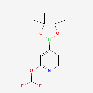 molecular formula C12H16BF2NO3 B1458387 2-(Difluoromethoxy)-4-(4,4,5,5-tetramethyl-1,3,2-dioxaborolan-2-yl)pyridine CAS No. 1628116-87-9