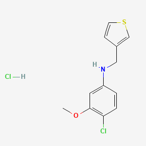 molecular formula C12H13Cl2NOS B1458405 4-chloro-3-methoxy-N-(thiophen-3-ylmethyl)aniline hydrochloride CAS No. 1803567-12-5
