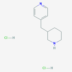 molecular formula C11H18Cl2N2 B1458416 4-(Piperidin-3-ylmethyl)pyridine dihydrochloride CAS No. 1864052-84-5