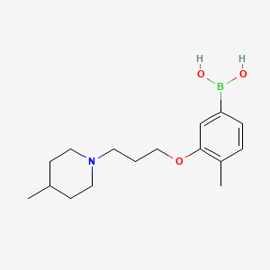 4-Methyl-3-(3-(4-methylpiperidin-1-yl)propoxy)phenylboronic acid