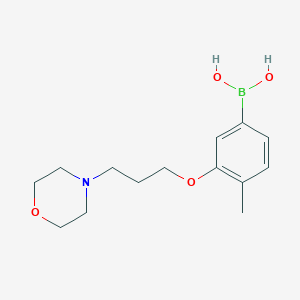(4-Methyl-3-(3-morpholinopropoxy)phenyl)boronic acid