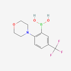 molecular formula C11H13BF3NO3 B1458603 2-Morpholino-5-(trifluoromethyl)phenylboronic acid CAS No. 1704063-79-5