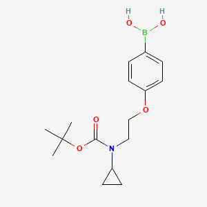 B1458641 (4-(2-((Tert-butoxycarbonyl)(cyclopropyl)amino)ethoxy)phenyl)boronic acid CAS No. 1704080-18-1