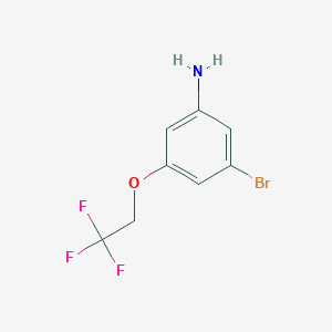 molecular formula C8H7BrF3NO B1458669 3-溴-5-(2,2,2-三氟乙氧基)苯胺 CAS No. 1695758-32-7