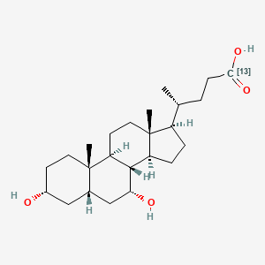 molecular formula C24H40O4 B1458803 Chenodeoxycholic acid-13C 