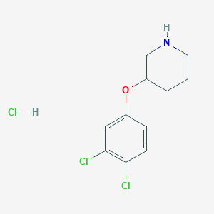 molecular formula C11H14Cl3NO B1458879 3-(3,4-Dichlorophenoxy)piperidine hydrochloride CAS No. 1384430-09-4