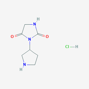 3-(Pyrrolidin-3-yl)imidazolidine-2,4-dione hydrochloride