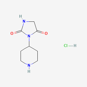 3-(Piperidin-4-yl)imidazolidine-2,4-dione hydrochloride