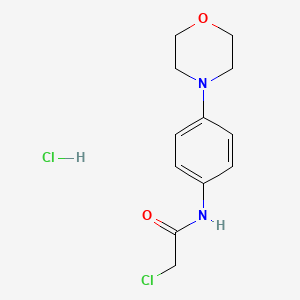 2-chloro-N-[4-(morpholin-4-yl)phenyl]acetamide hydrochloride