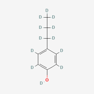 4-N-Propylphenol-D12
