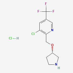 B1459358 3-Chloro-2-[[(3S)-pyrrolidin-3-yl]oxymethyl]-5-(trifluoromethyl)pyridine;hydrochloride CAS No. 1823188-24-4