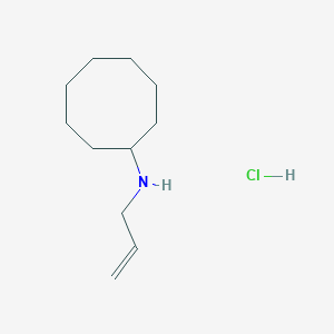 molecular formula C11H22ClN B1459469 N-(prop-2-en-1-yl)cyclooctanamine hydrochloride CAS No. 1803603-52-2