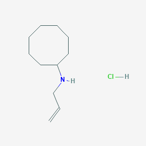 N-(prop-2-en-1-yl)cyclooctanamine hydrochloride